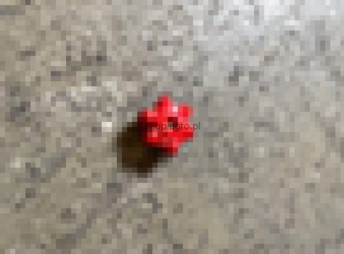24771.jpg