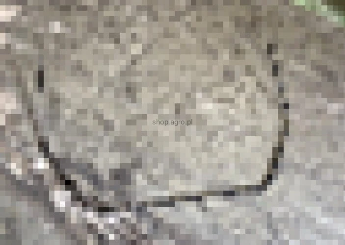24769.jpg