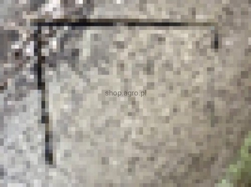 24768.jpg