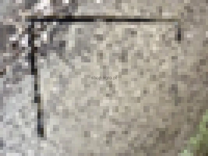 24768.jpg