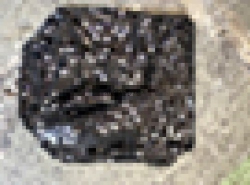 24767.jpg
