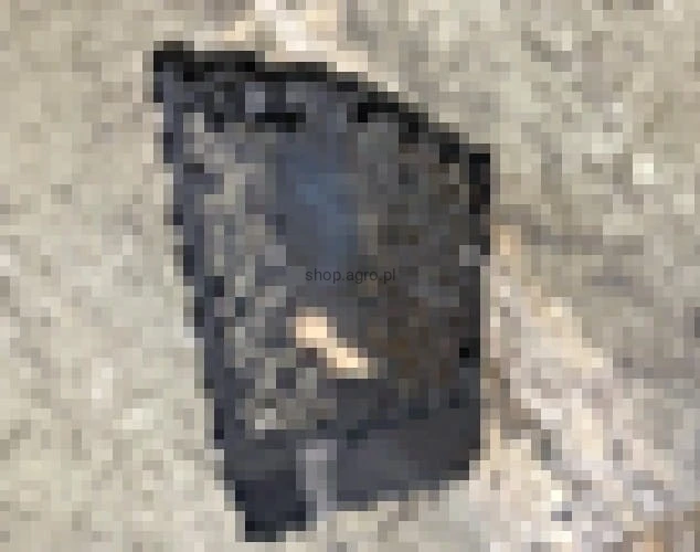 24760.jpg
