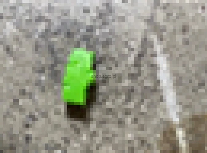 24759.jpg
