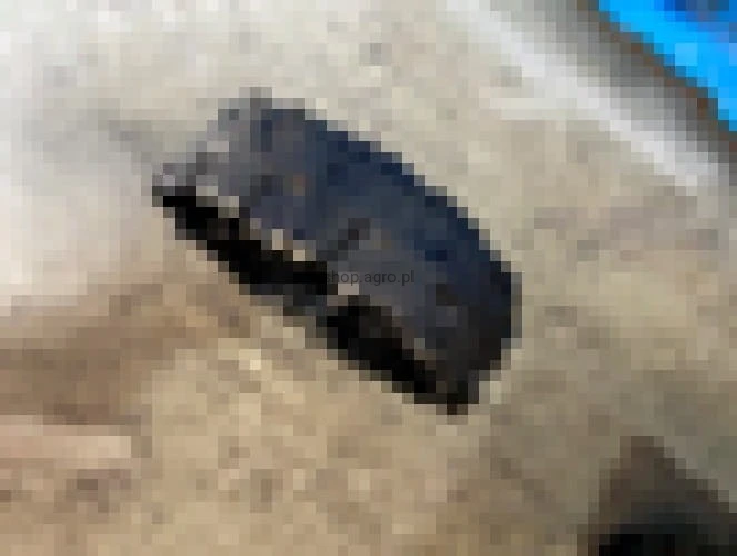 24757.jpg