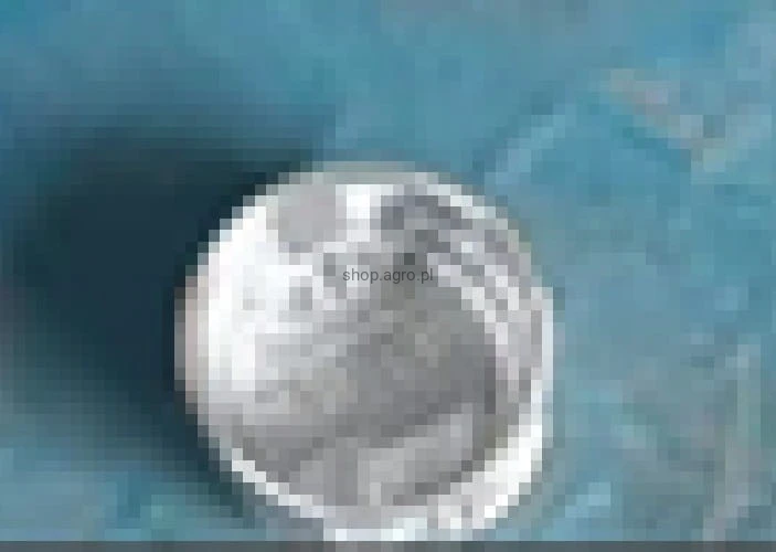 24714.jpg