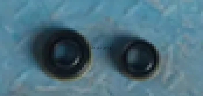 24709.jpg