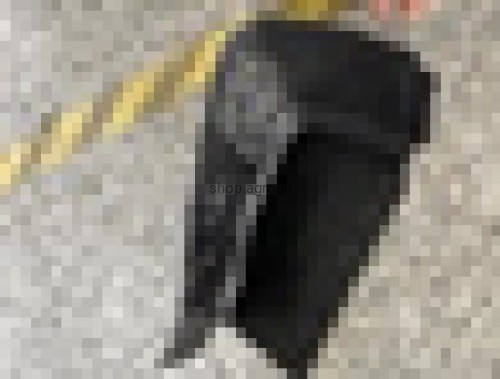 24689.jpg