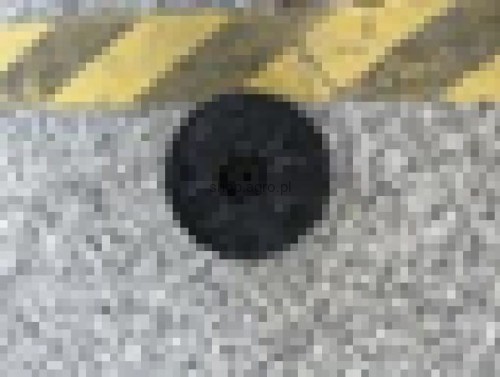 24685.jpg
