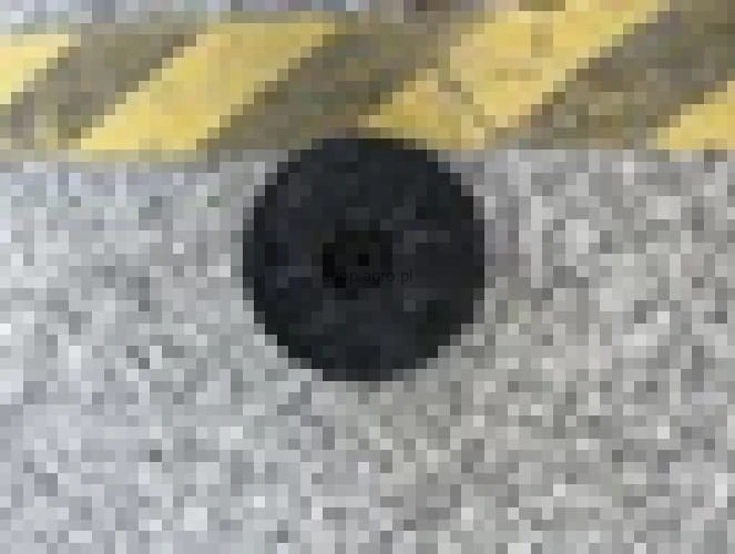 24685.jpg