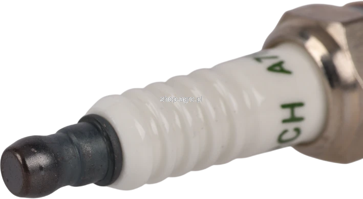 53511.png