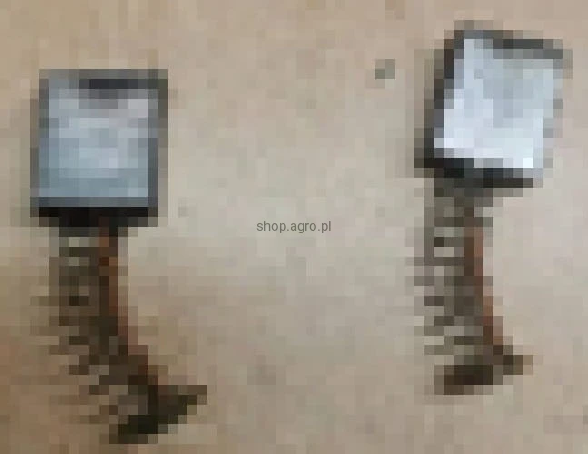 24605.jpg