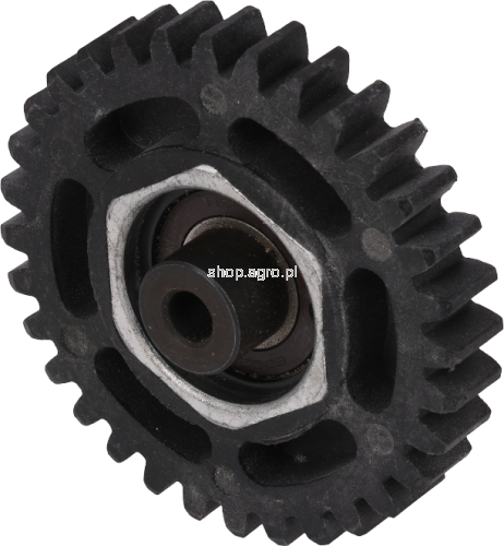 50877.png