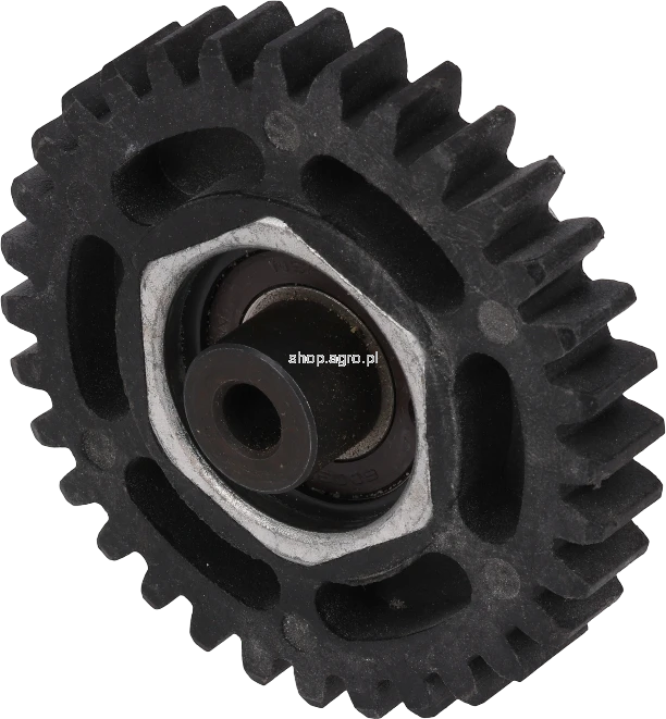 50877.png