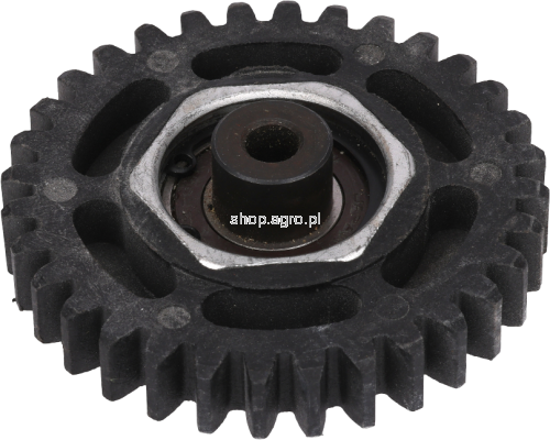 50875.png