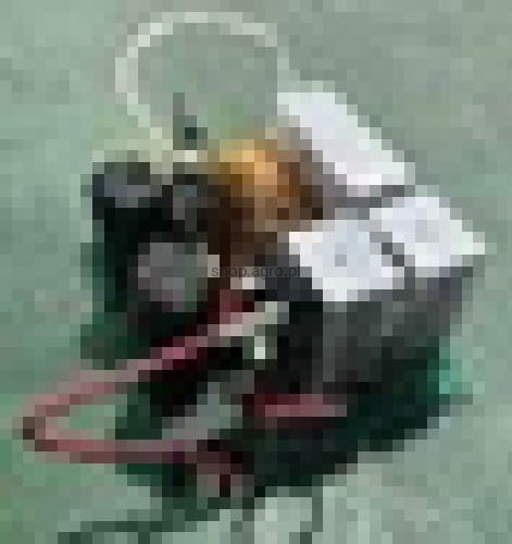 24584.jpg