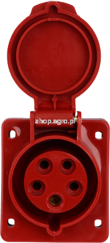 49645.png