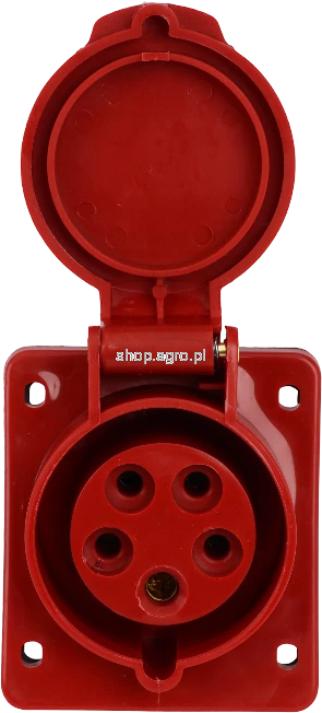 49645.png