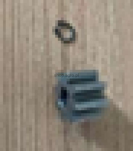 24576.jpg