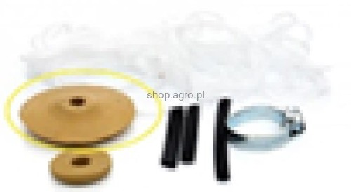 24575.jpg