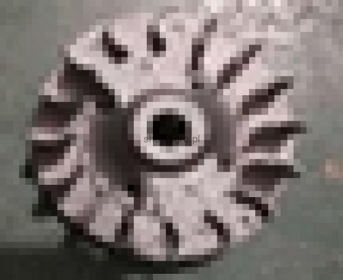 24567.jpg