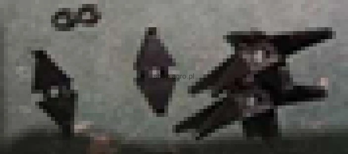 24565.jpg