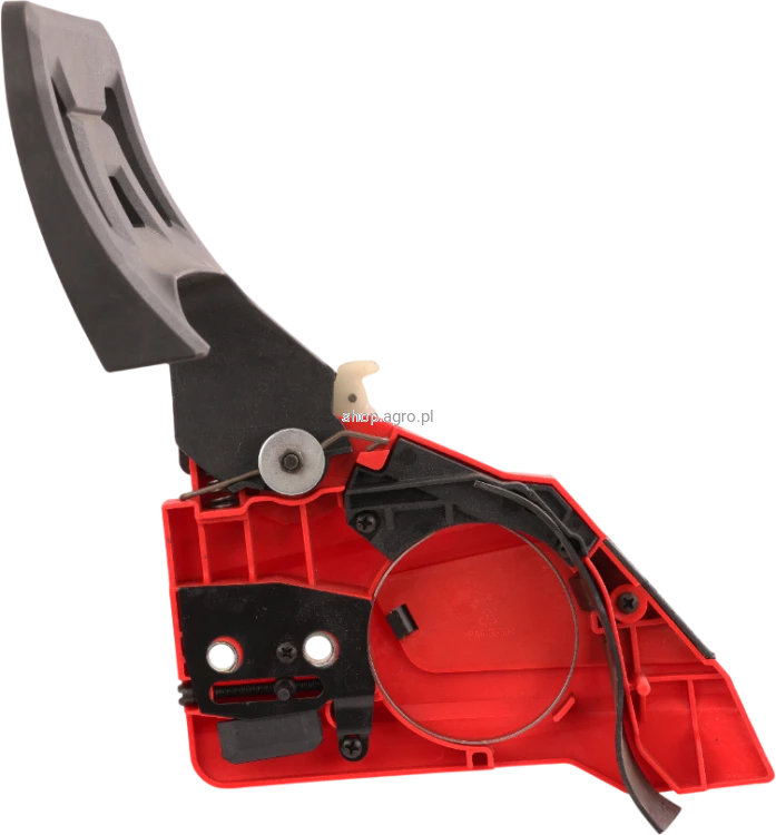 53519.png
