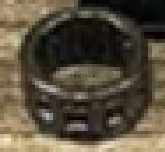 24521.jpg