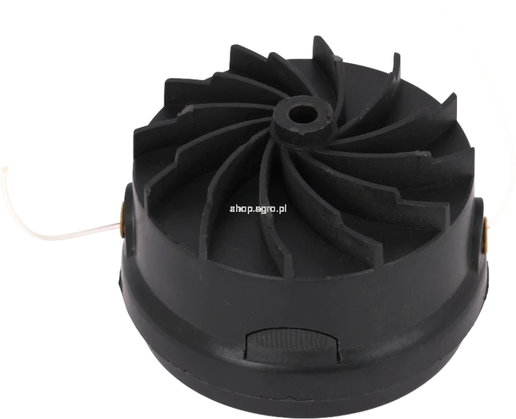 50797.png