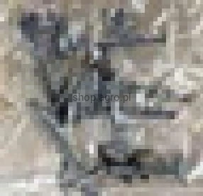 24461.jpg