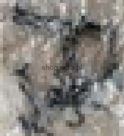 24462.jpg
