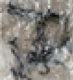 24462.jpg