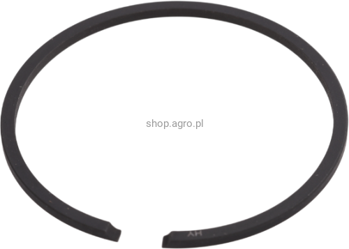 53538.png