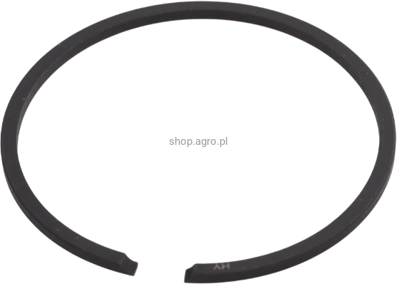 53538.png