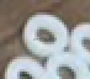 24368.jpg