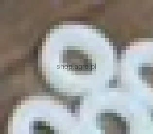 24368.jpg