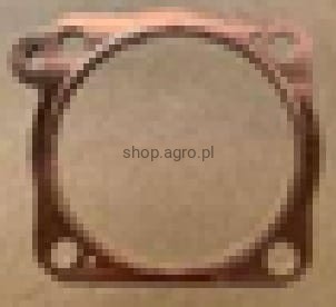 24331.jpg