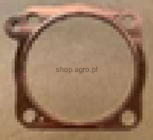 24331.jpg