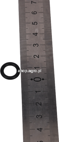 49204.png