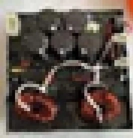 24325.jpg