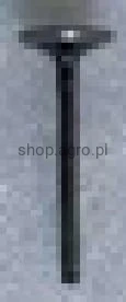 24321.jpg