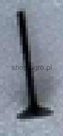 24322.jpg