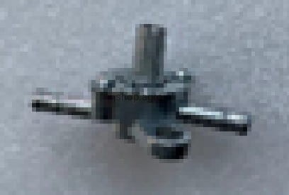 24316.jpg