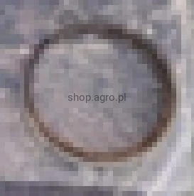 24303.jpg