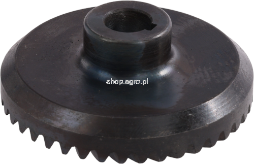50046.png