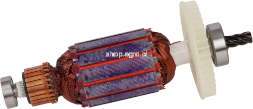 53568.png