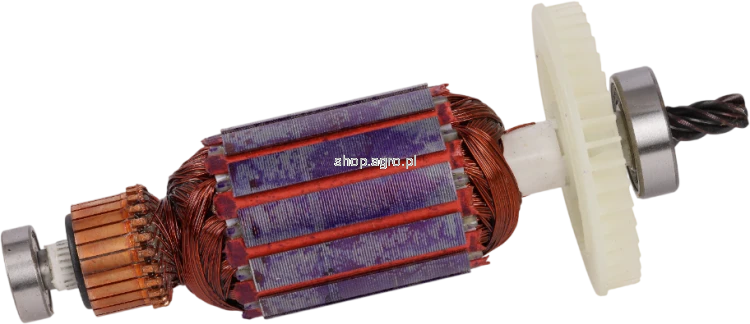 53568.png