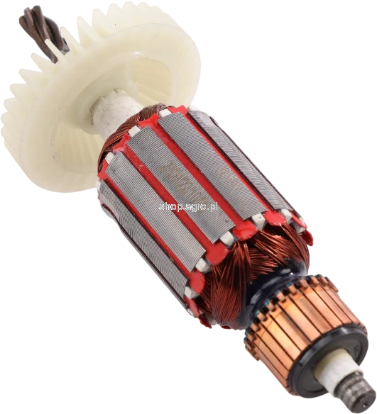 56810.png
