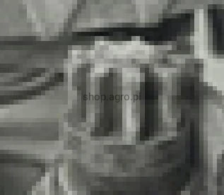 24081.jpg