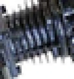 24079.jpg