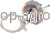 53898.png